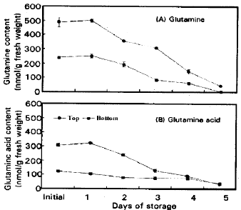 Image for - Postharvest Changes in Ammonium, Glutamine Synthetase and Glutamate Dehydrogenase  in Asparagus Spears during Storage at 20°C