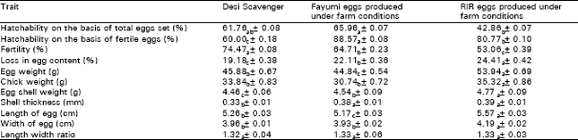 Image for - Egg Traits and Hatching Performance of Desi, Fayumi and 
Rhode Island Red Chicken