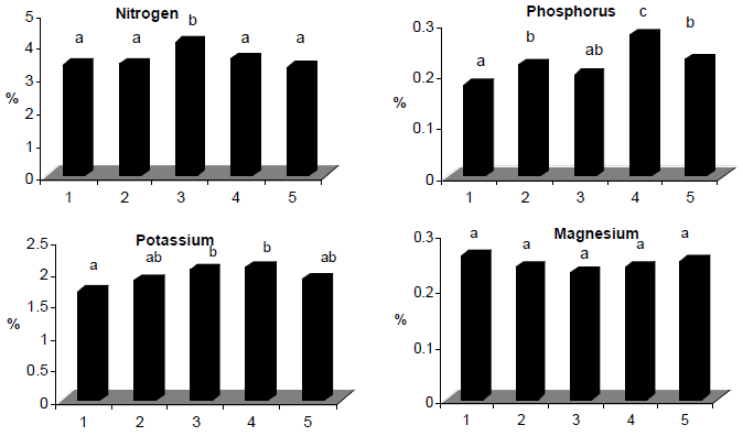 Image for - Can Supplemented Potassium Foliar Feeding Reduce the Recommended Soil Potassium