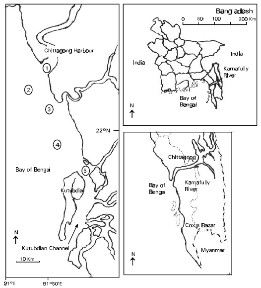 Image for - Hydrocarbon Distribution in Sediments from the Southeast Coastal Region of Bangladesh