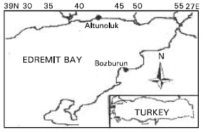 Image for - Feeding Habits of Serranus cabrilla (Serranidae) in Edremit Bay (North Aegean Sea)