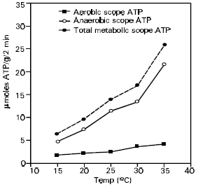Image for - Measurement of Resting and Active Aerobic and Anaerobic Metabolism of the Sand Fish, Scincus mitranus at Selected Temperatures