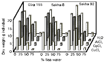 Image for - The Role of Trace Elements in Hardening of Three Wheat Cultivars to be Irrigated with Sea Water