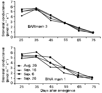Image for - Temporal Effects on Gas Exchange Characteristics of Blackgram