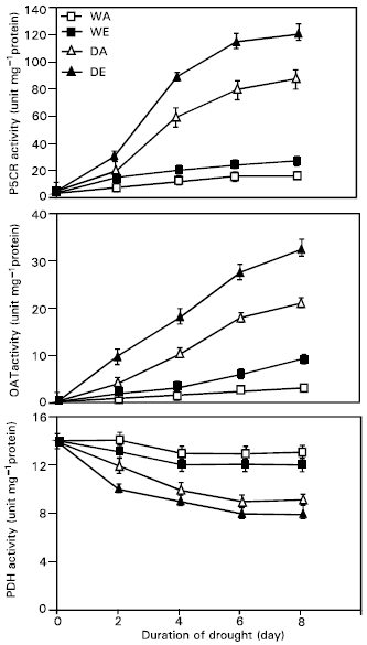 Image for - Effect of Elevated CO2 and Drought on Proline Metabolism and Growth of Saf-flower (Carthamus mareoticus L.) Seedlings Without Improving Water Status