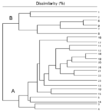 Image for - Genetic Diversity of Streptococcus uberis Strains Isolated from Clinical andSubclinical Cases of Bovine Intramammary Infections in Malaysia