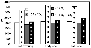Image for - Reversibility of Photosynthetic Inhibition After Long-term Exposure of Wheat Plants (Triticum aestivum L. Cvs. Sesquehanna and Gore) to Elevated Levels of Ozone