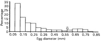 Image for - Annual Egg Production of Seasonal Populations of Japanese Anchovy, (Engraulis japonicus) in Kagoshima Bay, Southern Japan