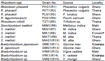 Image for - In vitro Survival and Nematicidal Activity of Rhizobium, Bradyrhizobium and Sinorhizobium. I. The Influence of Various NaCl Concentrations