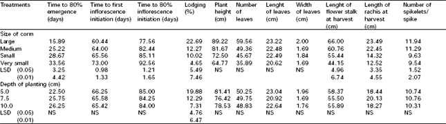 Image for - Effect of Corm Size and Depth of Planting on the Growth and Flowering of Gladiolus