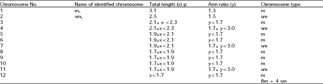 Image for - Quantitative Karyotype Analysis of Lycopersicon esculentum cv. Oxheart