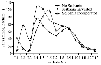 Image for - Chemistry of Leachates Collected During Phytoremediation of Calcareous Saline-sodic Soil withSesbania (Sesbania aculeate)