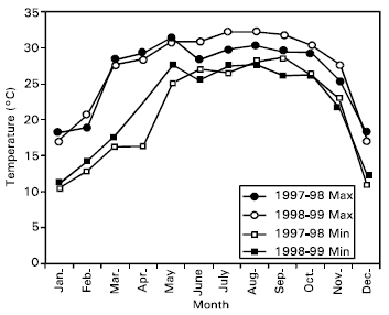 Image for - Response of Summer Tomato to Hormone and Planting Time at Hill Slope