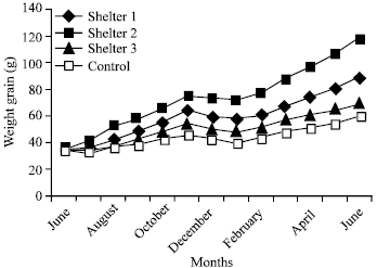 Image for - Effect of Different Shelters on Growth, Survival and Production of Freshwater mud eel, Monopterus cuchia (Hamilton) Reared in Cemented Cisterns of BAU, Mymensingh, Bangladesh