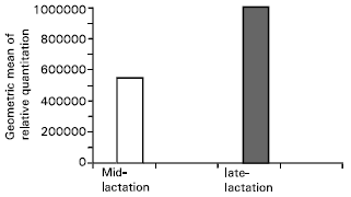 Image for - Transcriptional Activity of Il-8 in Healthy Bovine Mammary Gland at Mid and Late-lactation