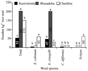 Image for - Impact of Weed Seed Mixture in Seed Health of Aus Rice and Factors Affecting it