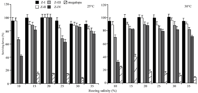 Image for - Effects of Salinity and Temperature on the Larval Development of the SemiterrestrialSesarmid Crab Neoepisesarma lafondi (Jaquinot and Lucas, 1853) from a MangroveSwamp in Okinawa Island, Japan