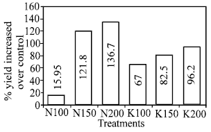 Image for - Effect of Nitrogen and Potassium on Yield and Quality of Carrot
