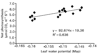Image for - Drought Stress Effects on Water Relations of Rice Grown in Nutrient Film Technique