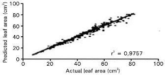 Image for - Leaf Area Estimation Model for Some Local Cherry Genotypes in Turkey