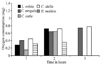 Image for - Rate of Oxygen Consumption in Fingerlings of Major Carps at Different Temperatures