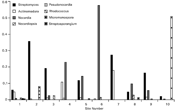 Image for - The Occurrence and Distribution of Soil Actinomycetes in Saint Catherine Area, South Sinai, Egypt