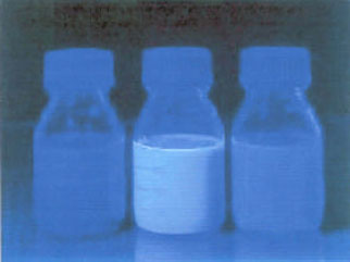 Image for - Flourogenic Assays for Rapid Detection of Escherichia coli in Tap Water and Raw Milk Samples
