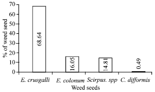 Image for - Impact of Weed Seed Mixture in Seed Health of Aus Rice and Factors Affecting it