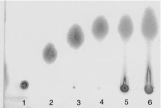 Image for - Production of Inulinases from Penicillium spinulosum, Aspergillus parasiticusNRRL2999 and Trichoderma viride