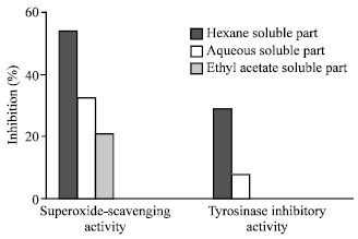 Image for - Superoxide Scavenging and Tyrosinase Inhibitory Active Compound in Ginger (Zingiber officinale Roscoe)