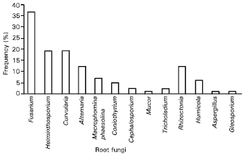 Image for - Prevalence, Incidence and Severity of Soil-borne Diseases and Fungi of Wheat in Rice-wheat Cropping System of Punjab Province of Pakistan During the Cropping Season 1999