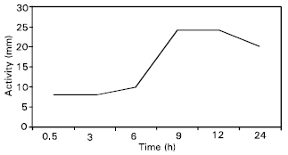 Image for - A 61kDa Antibacterial Protein Isolated and Purified from the Hemolymph of the American Cockroach Periplaneta amreicana
