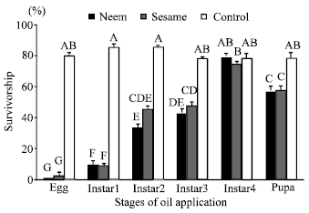 Image for - Duration of Developmental Stages of Callosobruchus chinensis L. (Coleoptera:Bruchidae) on Azuki Bean and the Effects of Neem and Sesame Oils at Different Stages of Their Development