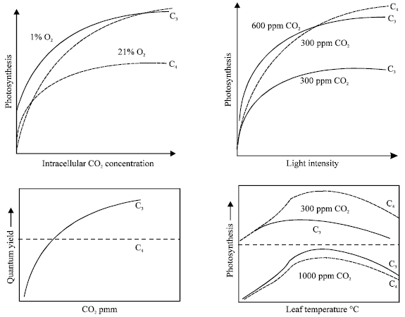 Image for - Elevated CO2 and Stress Tolerance in Crop Plants with Particular Reference to Agro-climatic Conditions of Pakistan