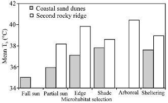 Image for - Variation in Thermal Relations Between Two Populations of the Sand Lizard, Acanthodactylus boskianus Living in Thermally Divergent Habitats of the Same Altitude
