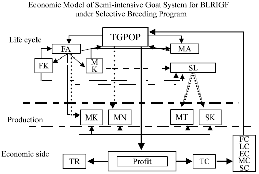 Image for - An Econometric Study on Semi-intensive Goat Rearing System