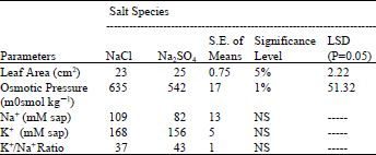Image for - Leaf Area and Ion Contents of Wheat Grown under NaCl and Na2SO4 Salinity