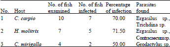 Image for - Parasitic Infestation in Different Fresh Water Fishes of Mini Dams of Potohar Region, Pakistan