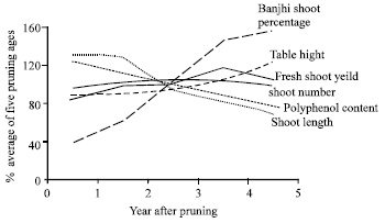 Image for - Effects of Different Pruning Intervals on Fresh Shoot Yield and Some Quality  Properties of Tea (Camellia sinensis (L.) O. Kuntze) in Turkey