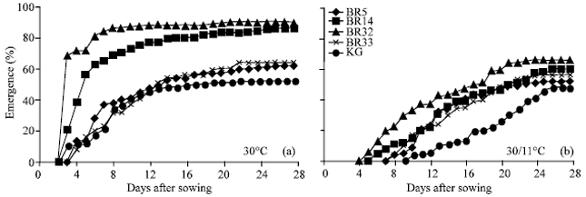 Image for - The Effect of Constant and Alternating Temperatures on Emergence and Early Seedling Growth of Five Bangladeshi Rice Cultivars in Water Saturated Soil