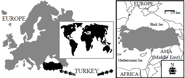 Image for - Succulent Plant Diversity of Turkey: The Case Study of Sempervivum genus