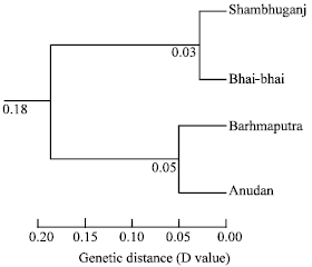 Image for - Genetic Variation in Four Hatchery Populations of Thai Pangas, Pangasius hypophthalmus ofMymensingh Region in Bangladesh Using Allozyme Marker