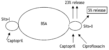 Image for - Drug-Drug Interactions Between Ciprofloxacin and Captopril at Binding Sites of Bovine Serum Albumin
