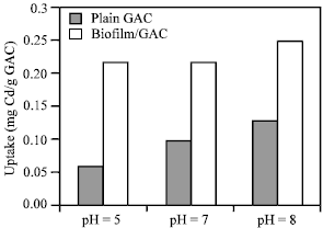 Image for - Study on Removal of Cadmium from Water by Adsorption on GAC, BAC and Biofilter