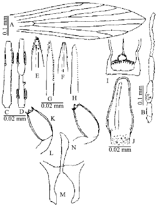 Image for - Taxonomic Morphology of Sergentomyia (Sergentomyia) babu babu Annandale (1910), Sergentomyia palestinensis Adler and Theodor (1927) and Sergentomyia baghdadis Adler and Theodor (1929) (Diptera, Psychodidae) of Pakistan