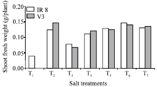 Image for - Effect of Alternating Saline and Non-saline Conditions on Emergence and Seedling Growth of Rice