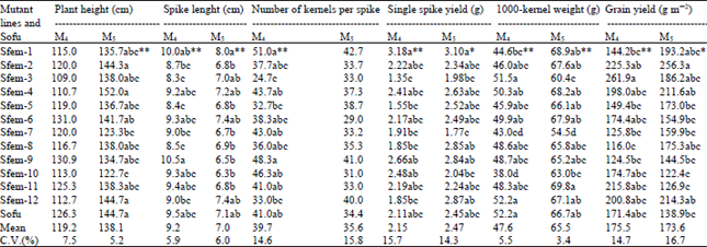 Image for - The Evaluation of Agronomic Traits of Durum Wheat (Triticum durum Desf.) Mutants
