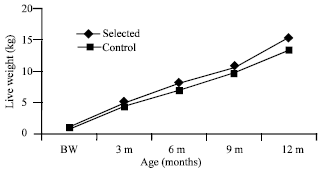 Image for - Effect of Selection for Growth on Production Performance in Black Bengal Goats