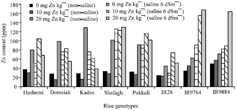 Image for - Zinc and Salinity Interaction on Agronomical Traits, Chlorophyll and Proline Content in Lowland Rice (Oryza sativa L.) Genotypes