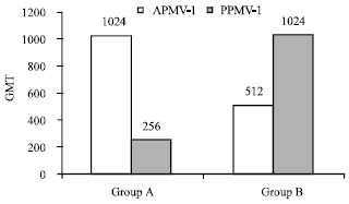Image for - Raising Hyperimmune Serum Against Avian Paramyxo Virus (APMV-1) and Pigeon Paramyxovirus (PPMV-l) in Rabbits and Their Cross Reactivity